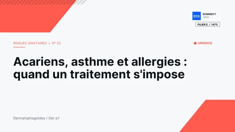 Acariens, asthme et allergies : quand un traitement s&rsquo;impose