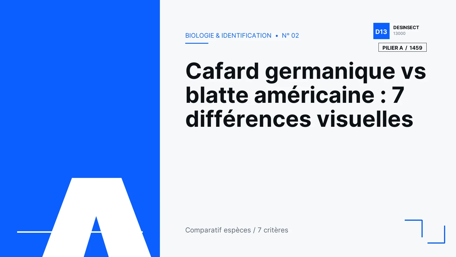 Illustration éditoriale — Cafard germanique vs blatte américaine : 7 différences visuelles