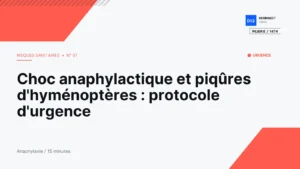 Contrat annuel ou intervention ponctuelle | Desinsect13000