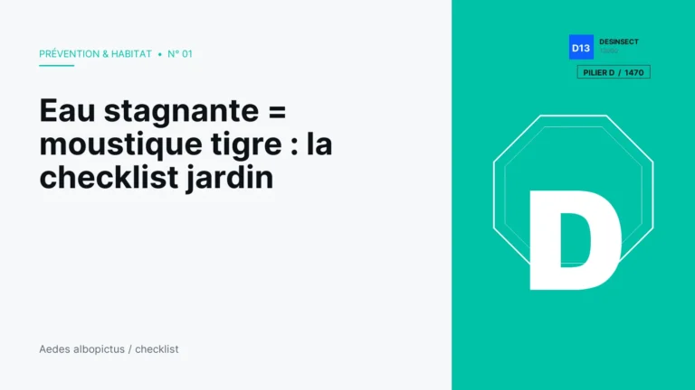 Eau stagnante = moustique tigre : la checklist jardin