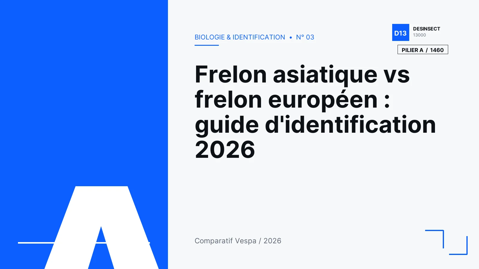 Illustration éditoriale Desinsect13000 — Frelon asiatique vs frelon européen : guide d’identification 2026