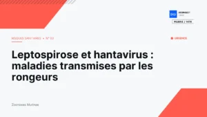 Plan de détection rongeurs en entrepot : IFS Logistics | Desinsec