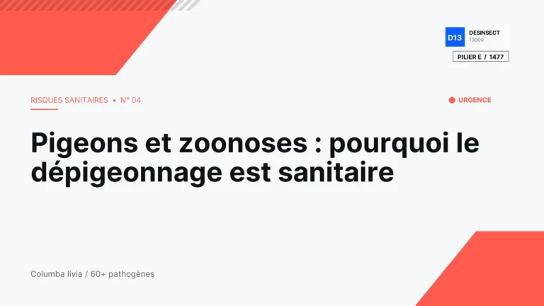 Pigeons et zoonoses : pourquoi le dépigeonnage est sanitaire