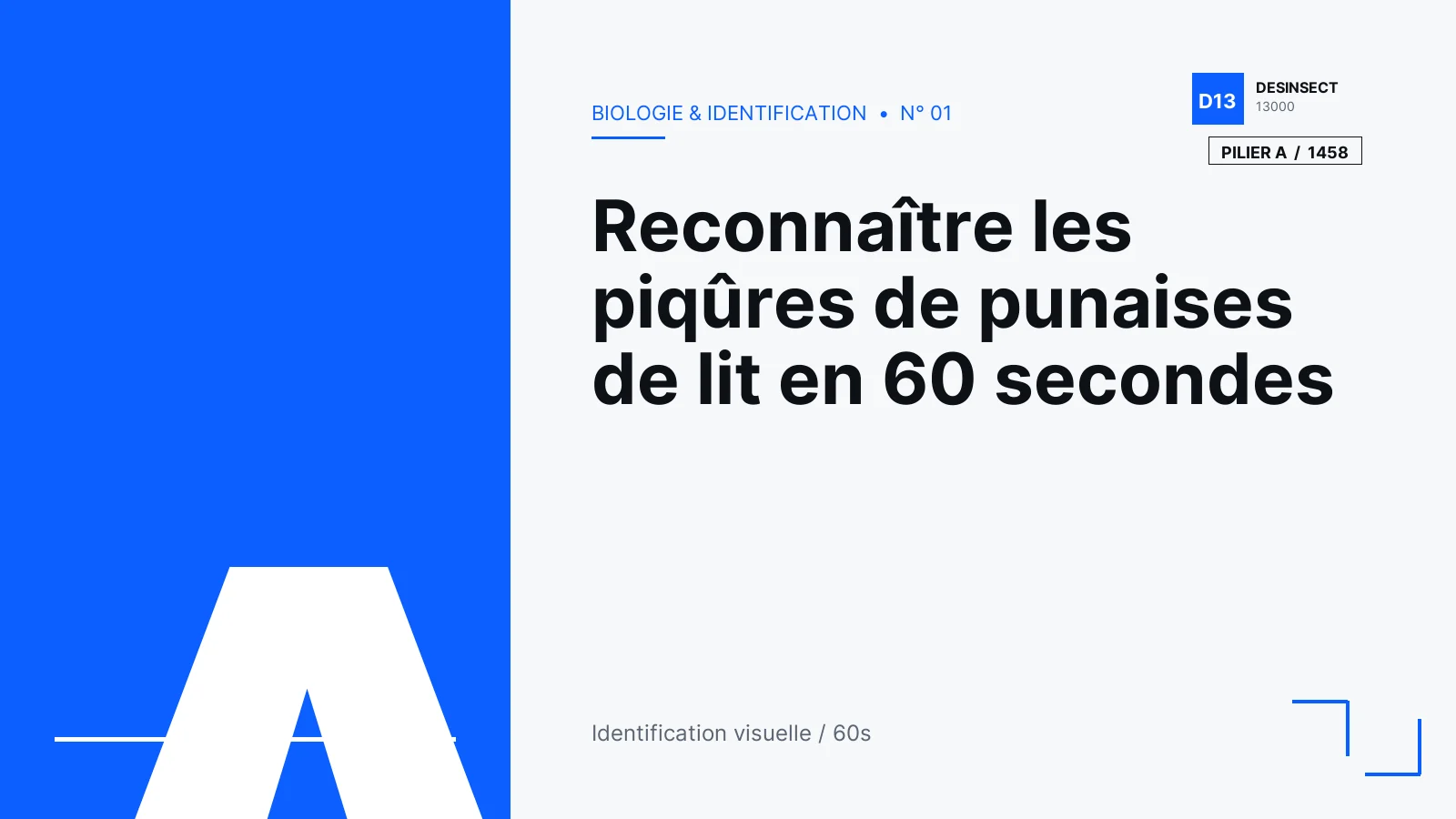 Illustration éditoriale Desinsect13000 — Reconnaître les piqûres de punaises de lit en 60 secondes